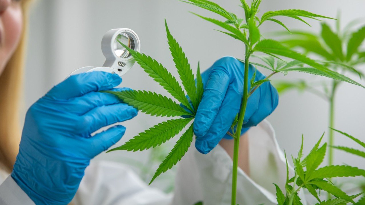 Image Source : Shutterstock