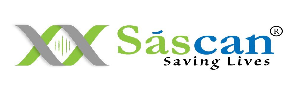 image credit:yandex.com